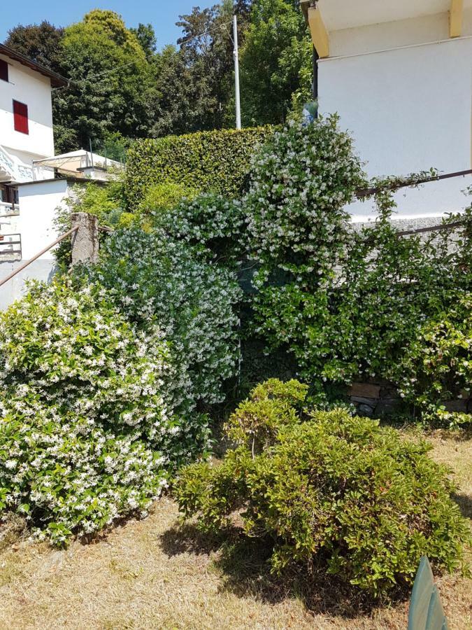 La Palma Villa Miazzina Dış mekan fotoğraf